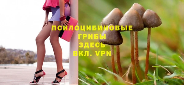 ешки Абаза